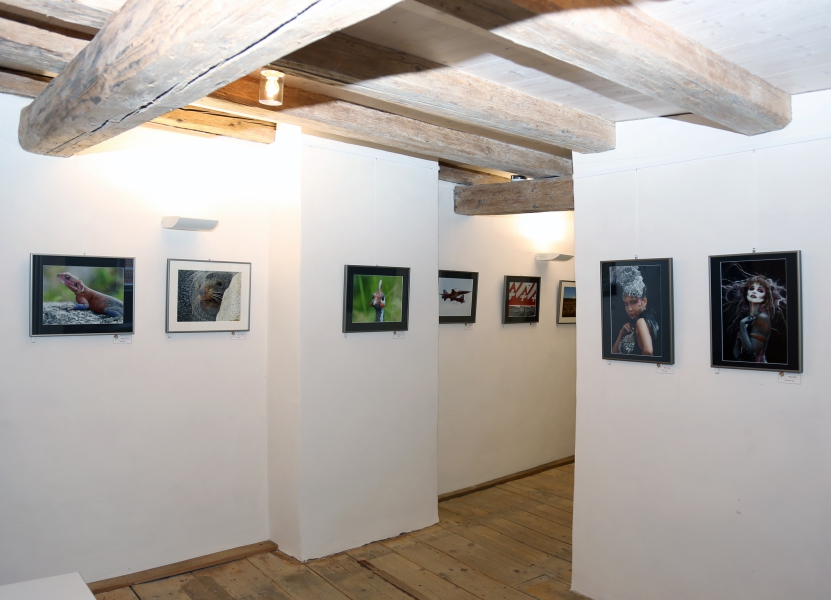 Ausstellung-2016